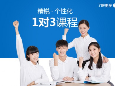 上海小学一对三辅导班